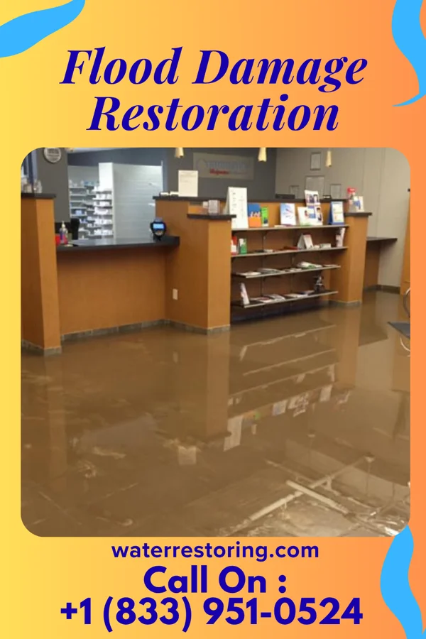 Flood Damage Restoration in Three Lakes, FL