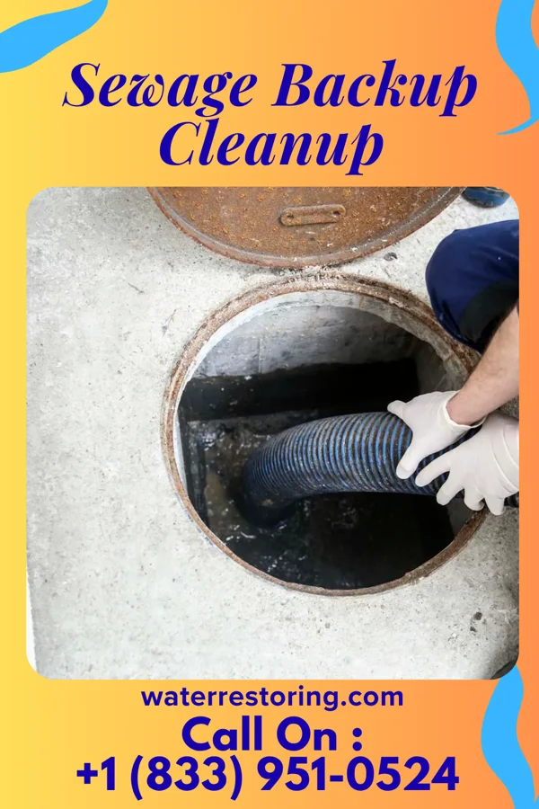 Sewage Backup Cleanup in Three Lakes, FL