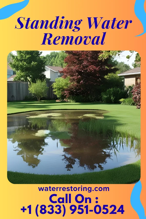 Standing Water Removal in Three Lakes, FL